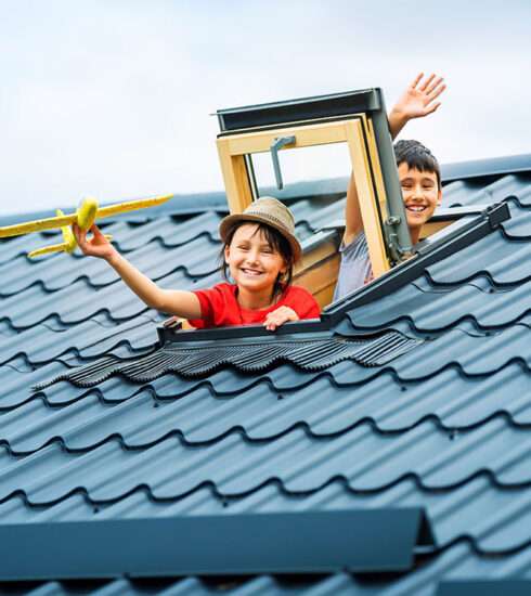 Skylights - Energy-efficient roof windows Image