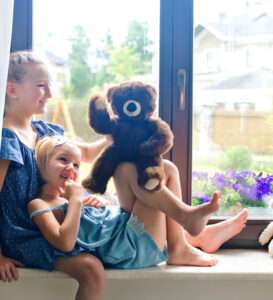 Window Glass Options for Hot Climates - Image