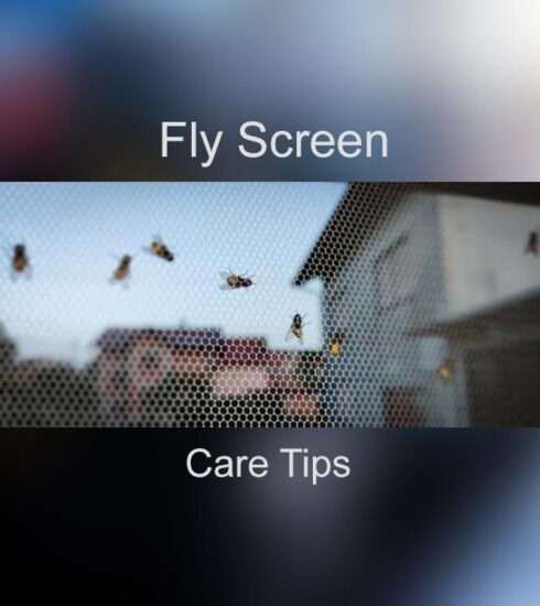Fly Insect Screen Care and Maintenance - How to Do Tips