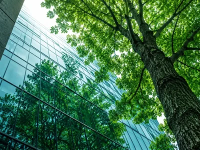 Reflective Glass Pros and Cons: Benefits, Drawbacks, and Usage