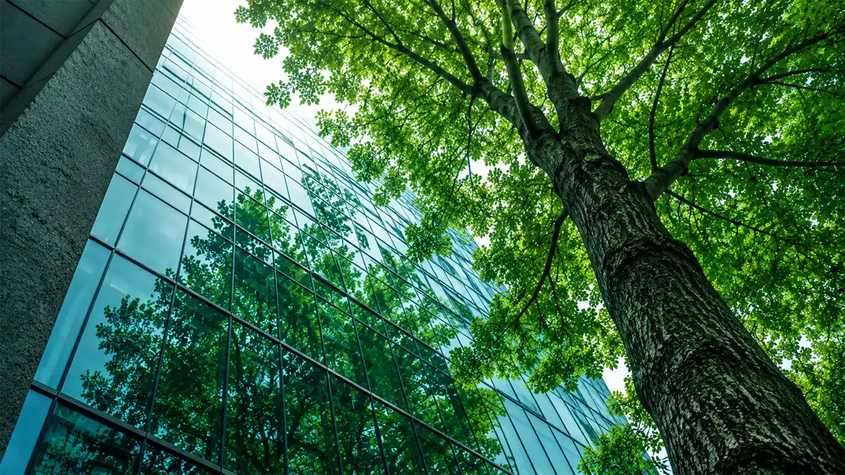 Green tree leaves reflecting clearly on the mirrored surface of a modern commercial skyscraper building facade.